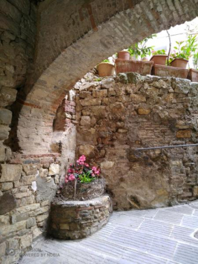 Il Bucataio